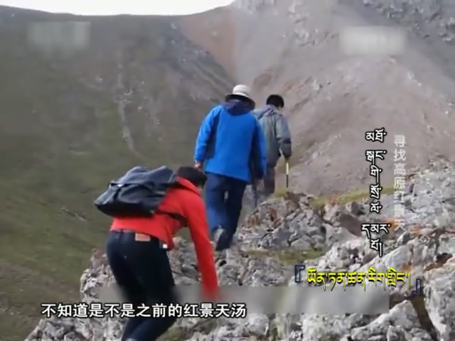 云丹科普苑：尋找高原紅景天（09.19）