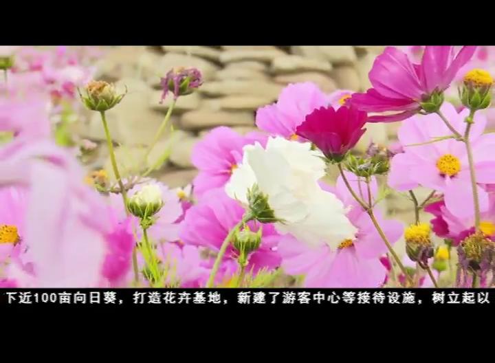 康巴衛視新聞（18.10.06）