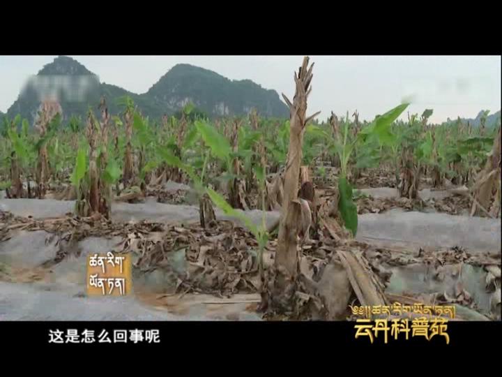 云丹科普苑（04.18）