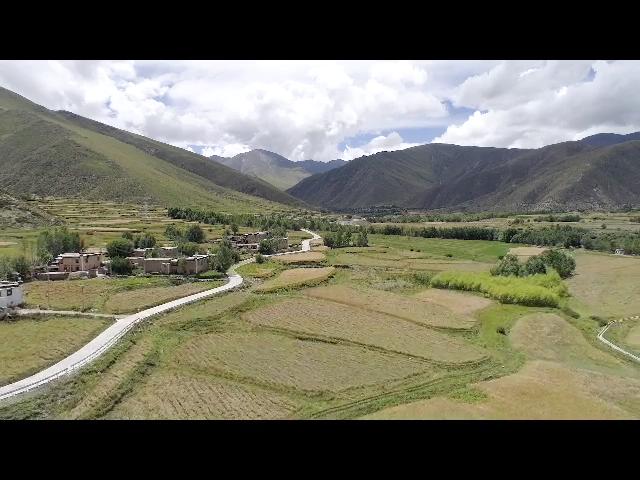 《岗日杂塘》强钦飘香