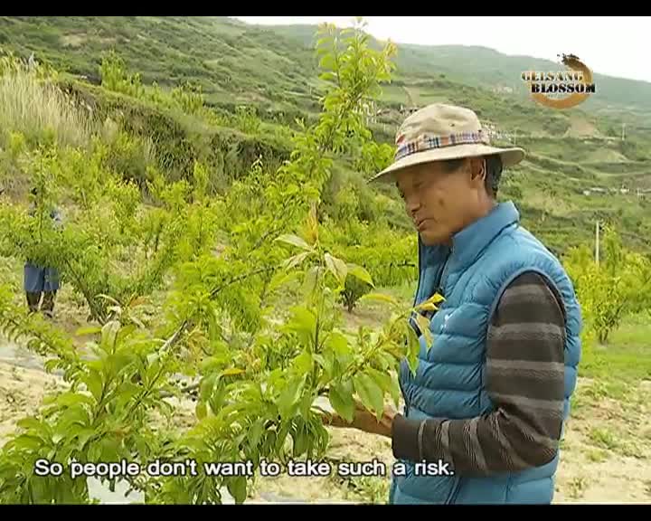 A Song for the Laboring People: Qi Xinglu