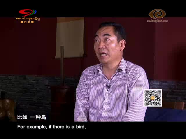 Enlightenment Education