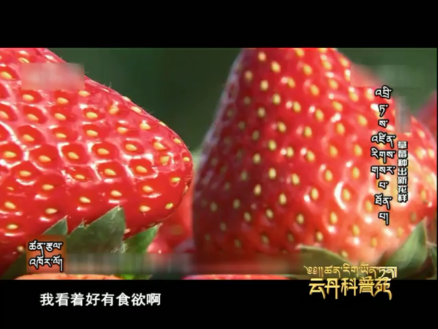 云丹科普苑（04.11）