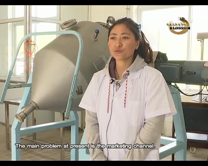 Grassland in the Heart