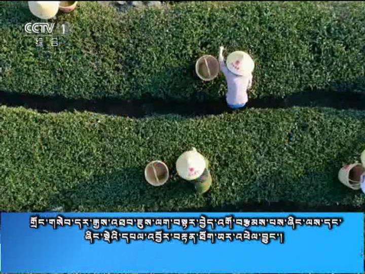 央视新闻联播 （18.07.15）