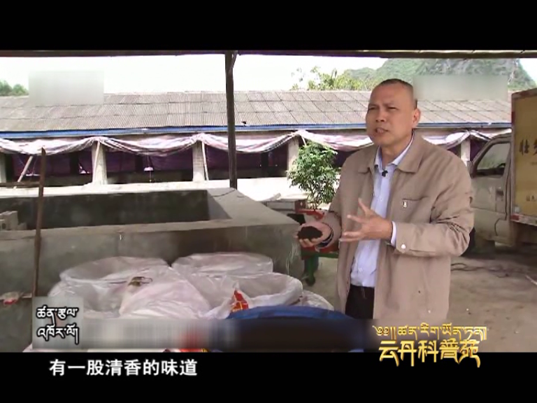 云丹科普苑（05.23）