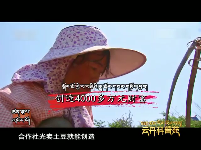云丹科普苑（04.25）