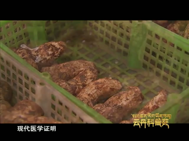 云丹科普苑（06.27）