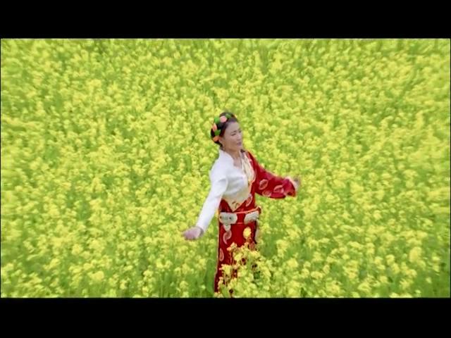 《藏歌金曲》：金色的锅庄