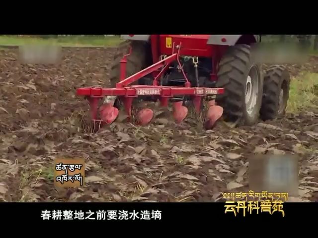 云丹科普苑（07.04）