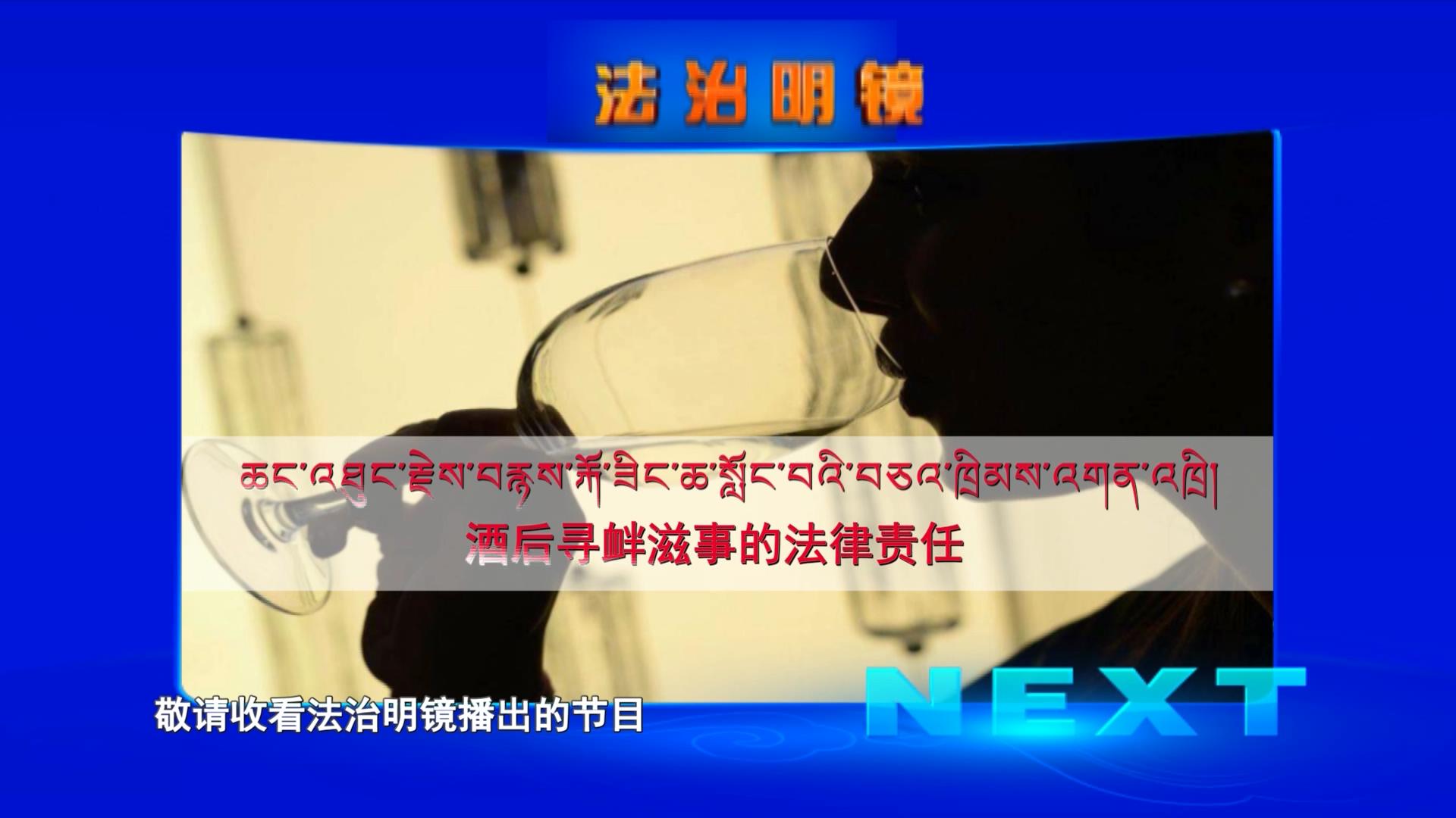 酒后尋釁滋事的法律責任（01.24）