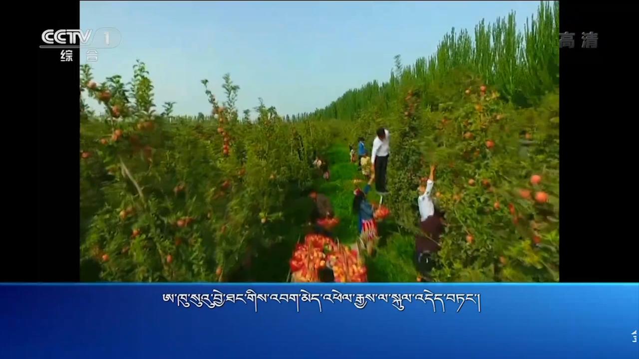 央视新闻联播 （18.10.11）