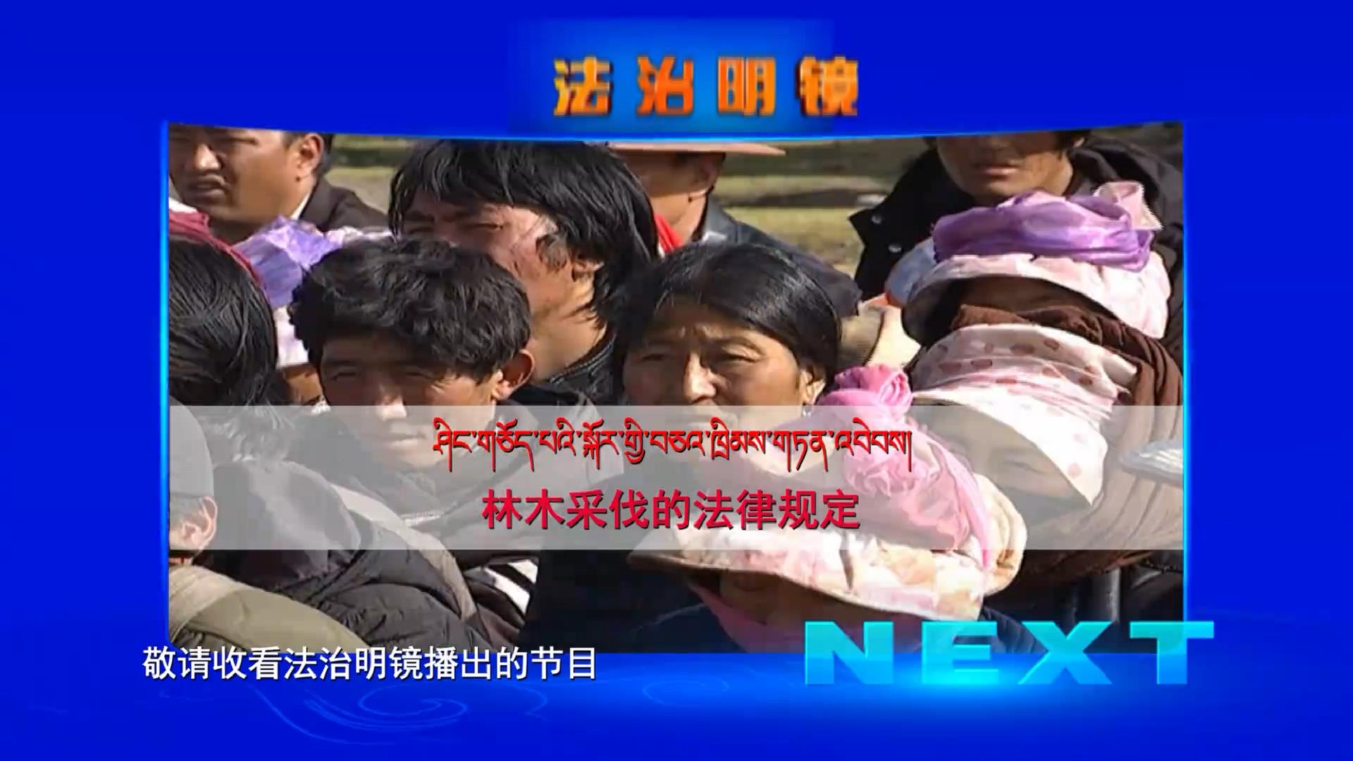 林木采伐的法律規定（11.29）