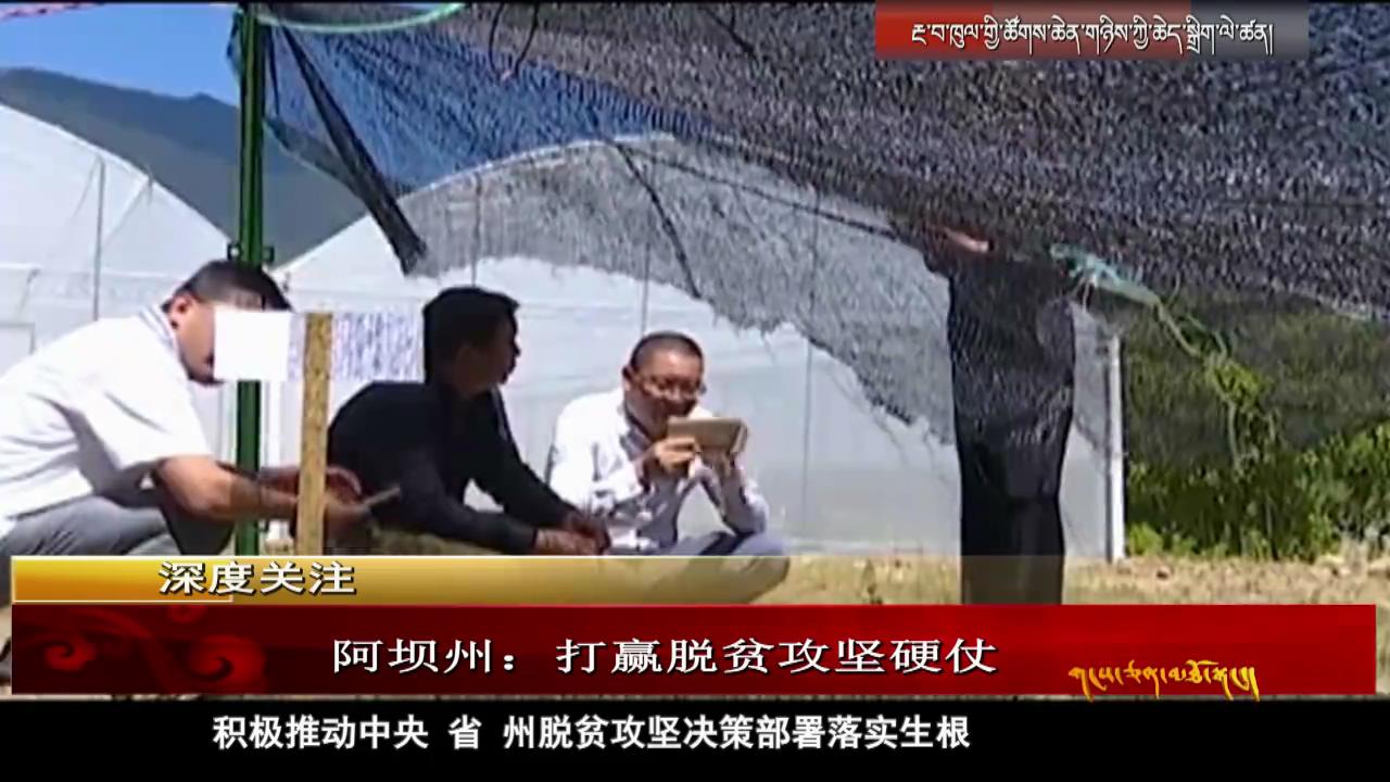 雪域高原：阿壩州 打贏脫貧攻堅硬仗（01.27）