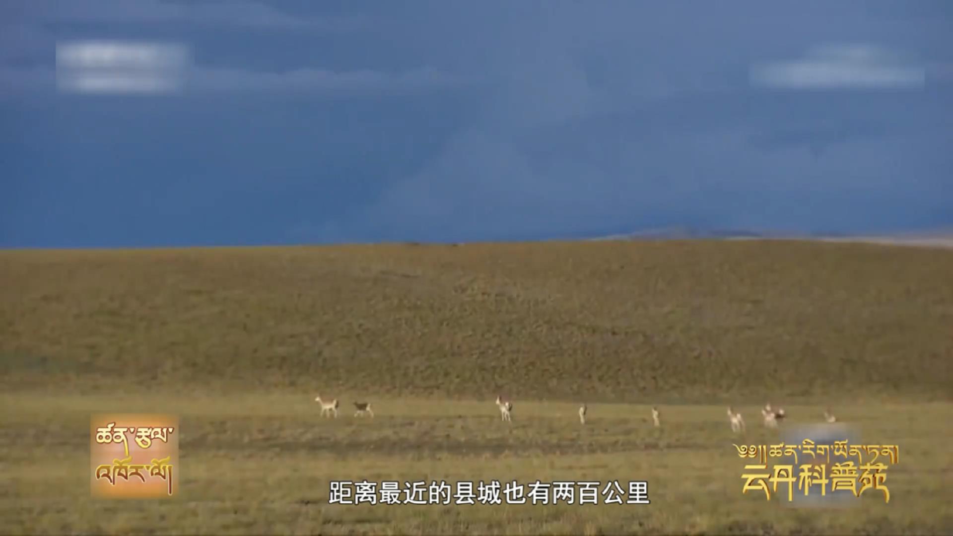 云丹科普苑（10.24）