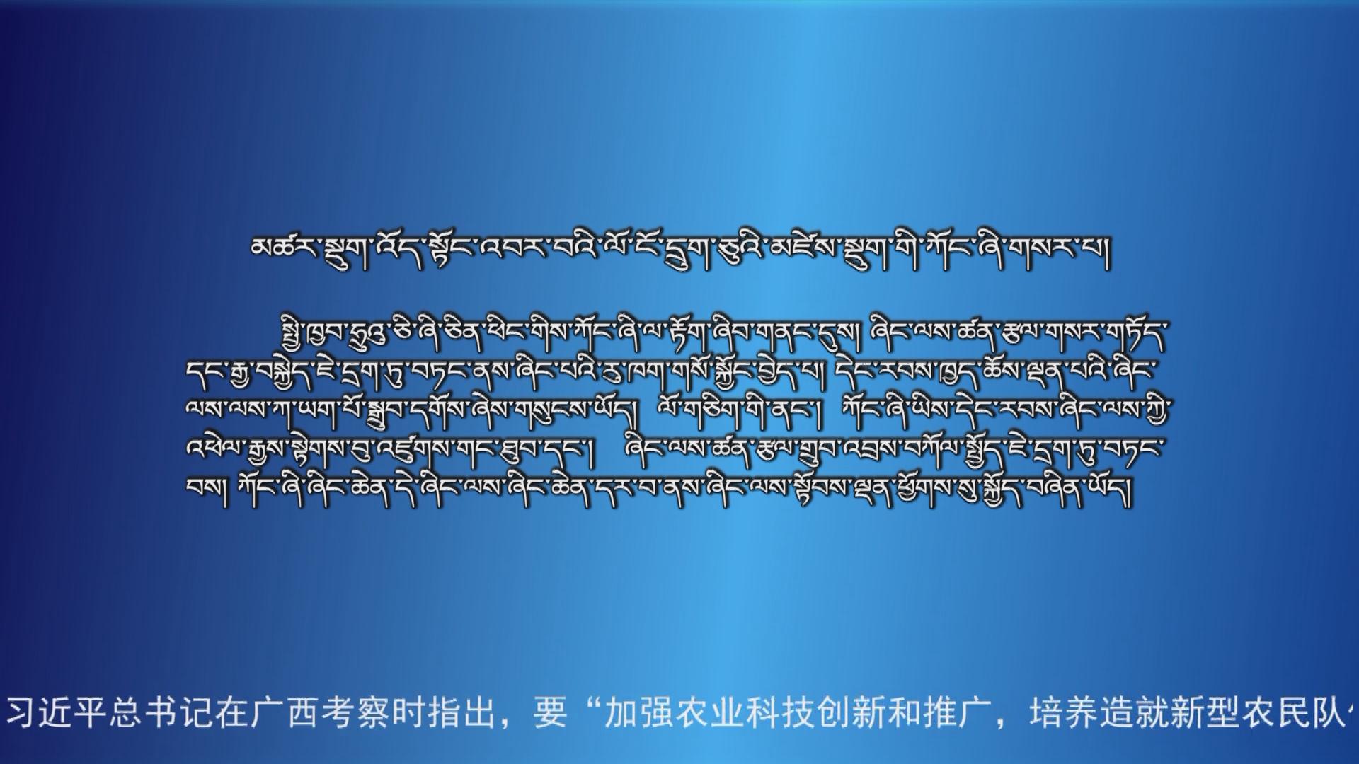央视新闻联播 （18.12.08）