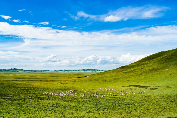 The Amazing Aba Exhibition Hall