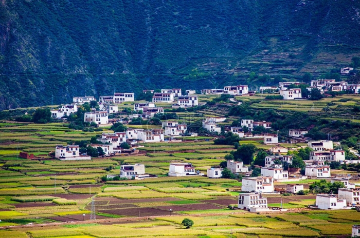 Tibetan Dwelling Culture I