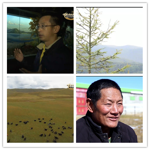 Wonderful Talents of the Plateau (Episode IV)