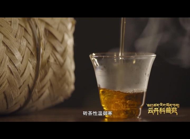 云丹科普苑（12.26）