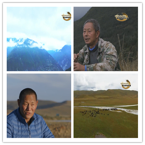 Wonderful Talents of the Plateau (Episode VII)