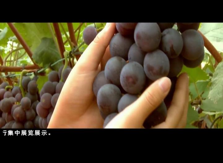 云丹科普苑（01.23）