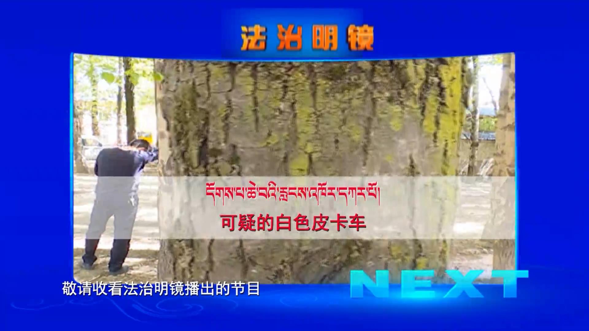 可疑的白色皮卡車（11.08）