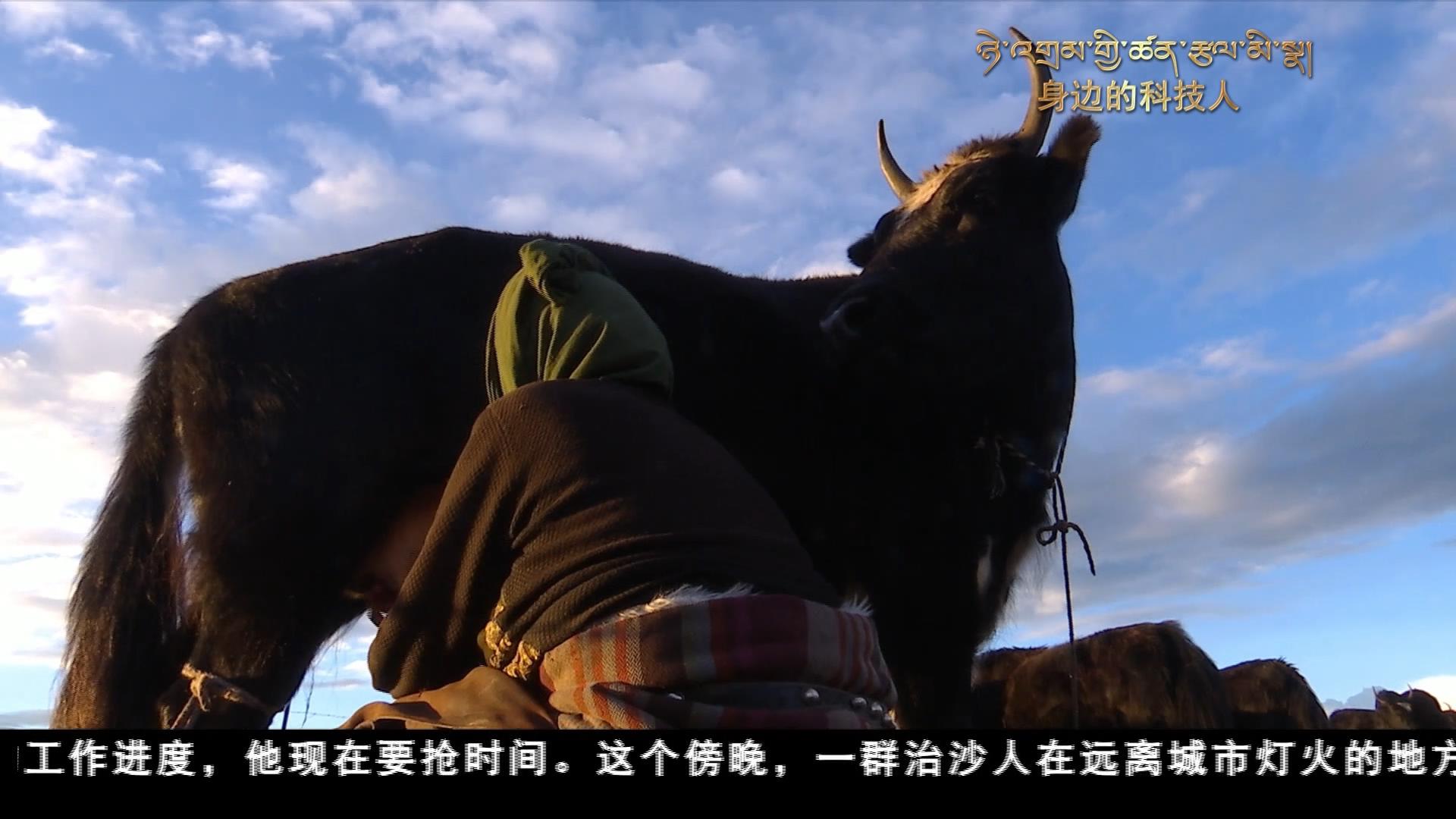 云丹科普苑（02.13）