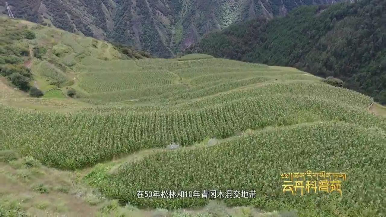 云丹科普苑（02.06）