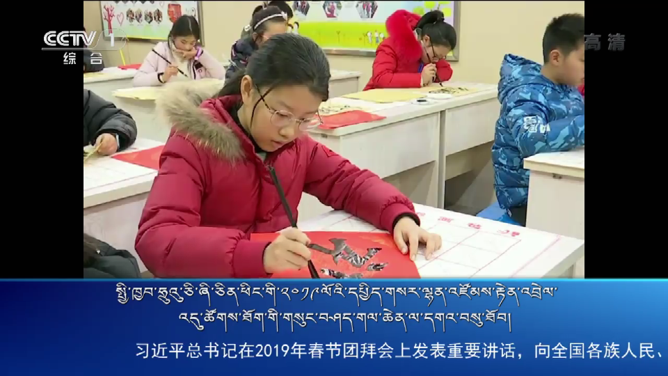 央视新闻联播 （19.02.04）