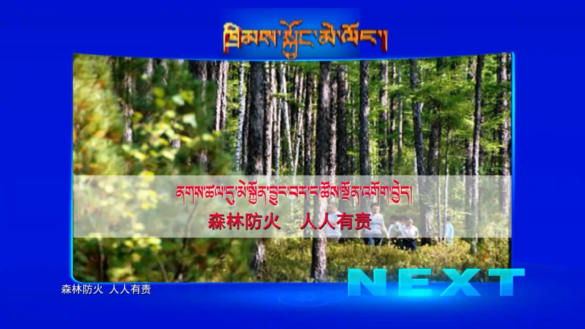 森林防火 人人有責（10.25）