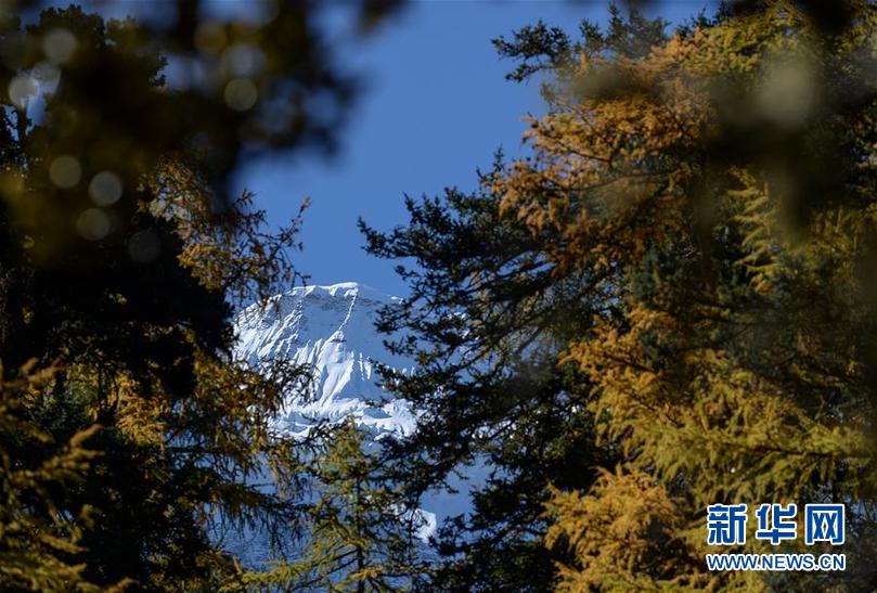 (环境)(8)四川稻城:亚丁秋色美