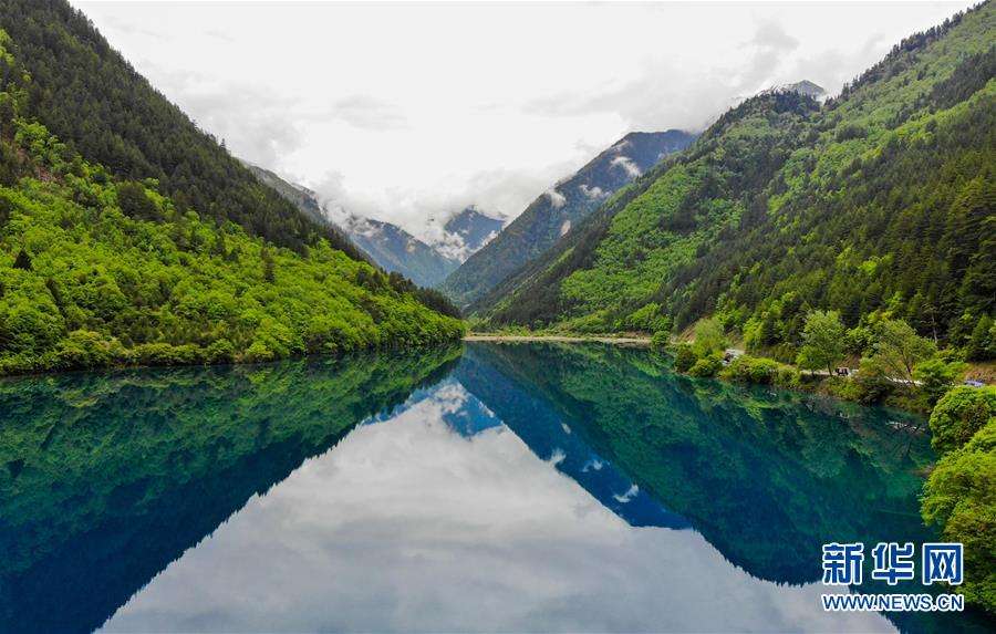Famous Chinese scenic spot Jiuzhaigou welcomes more daily visitors