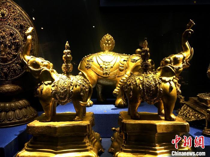 展覽上的部分展品。　張強 攝