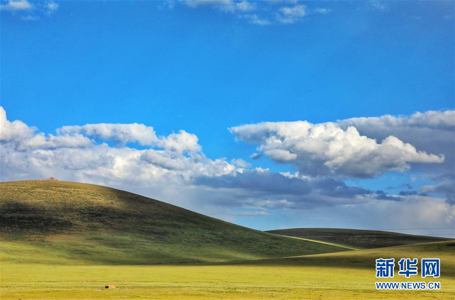 ཡུལ་ཤུལ་ཁྲི་འདུའི་རྒྱལ་ཐང་རྩྭ་ཐང་སྟེང་གི་སྲོག་ཆགས། 