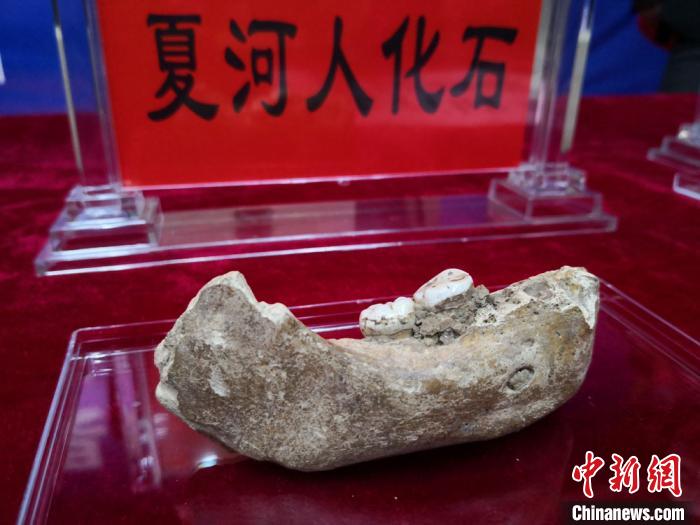 2019年6月，中國科學院院士陳發(fā)虎帶領的蘭州大學環(huán)境考古團隊在會議上公布，夏河丹尼索瓦人發(fā)現地——甘肅省甘南州夏河縣白石崖溶洞保存有豐富的舊石器文化遺存，包括大量石器和動物骨骼化石。(資料圖) 丁思 攝