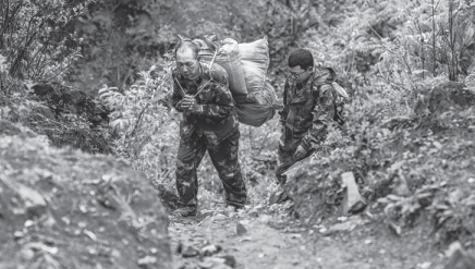 Profile: Meet Yu Xiaode: the forest ranger befriending monkeys
