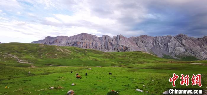 图为碧波万顷的草地。　魏建军 摄