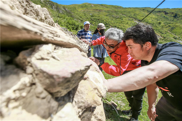 （過審）甘孜州爐霍縣墓葬群出土海螺海貝實物