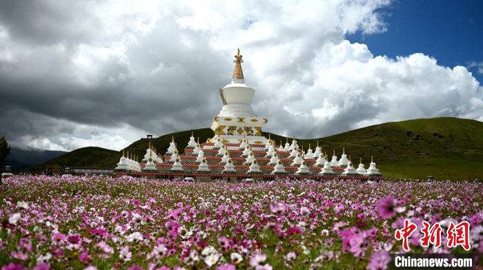 花海中的白塔。 刘忠俊 摄 花海中的白塔。 刘忠俊 摄